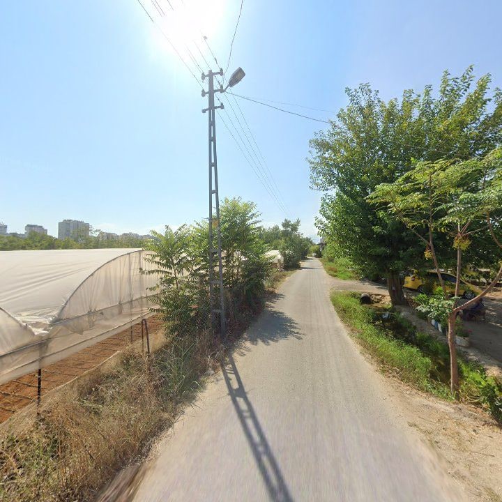 Fotoğraf 11
