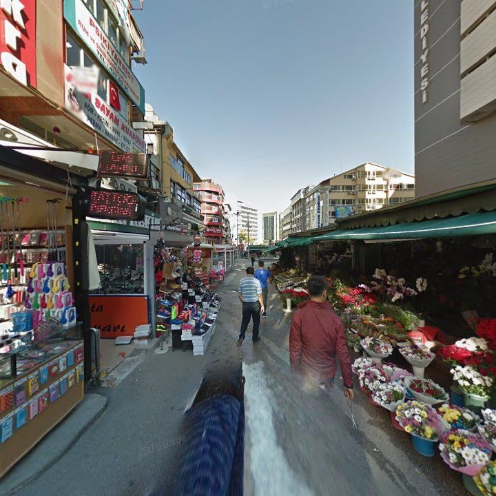 Fotoğraf 12