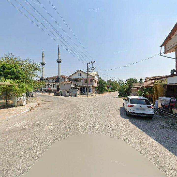 Fotoğraf 11
