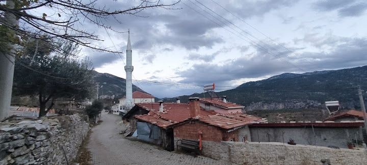 Düzlen