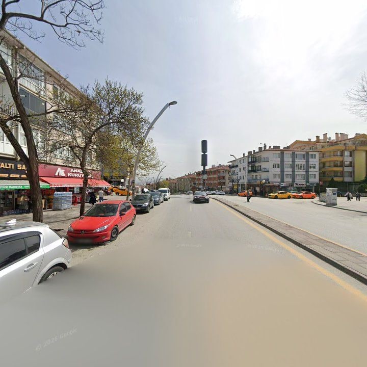 Fotoğraf 12