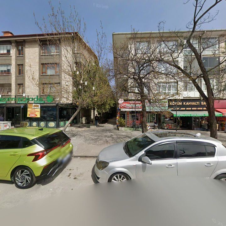 Fotoğraf 11