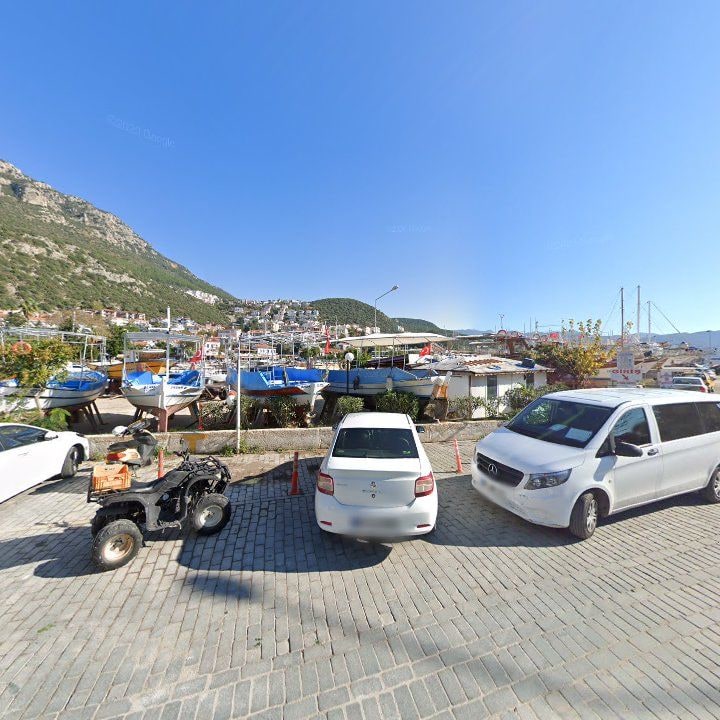Fotoğraf 11