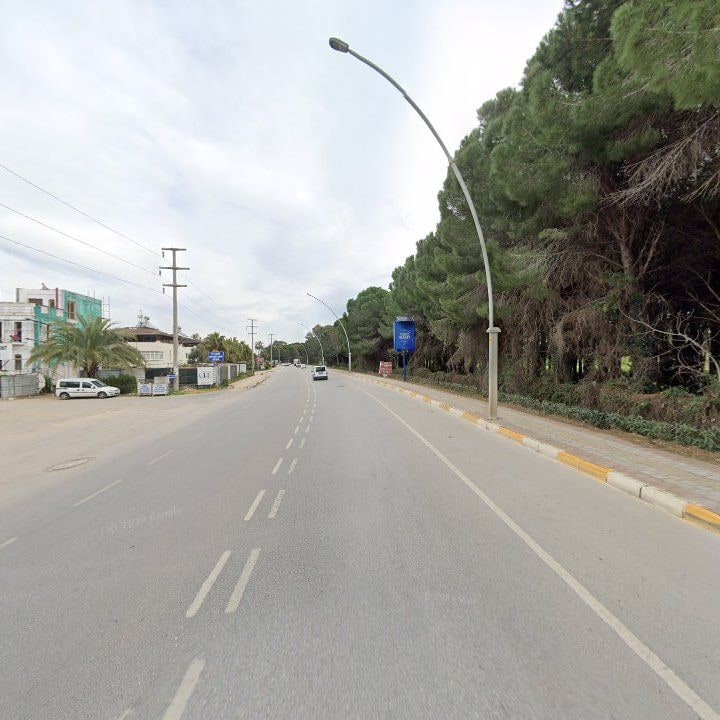 Fotoğraf 16