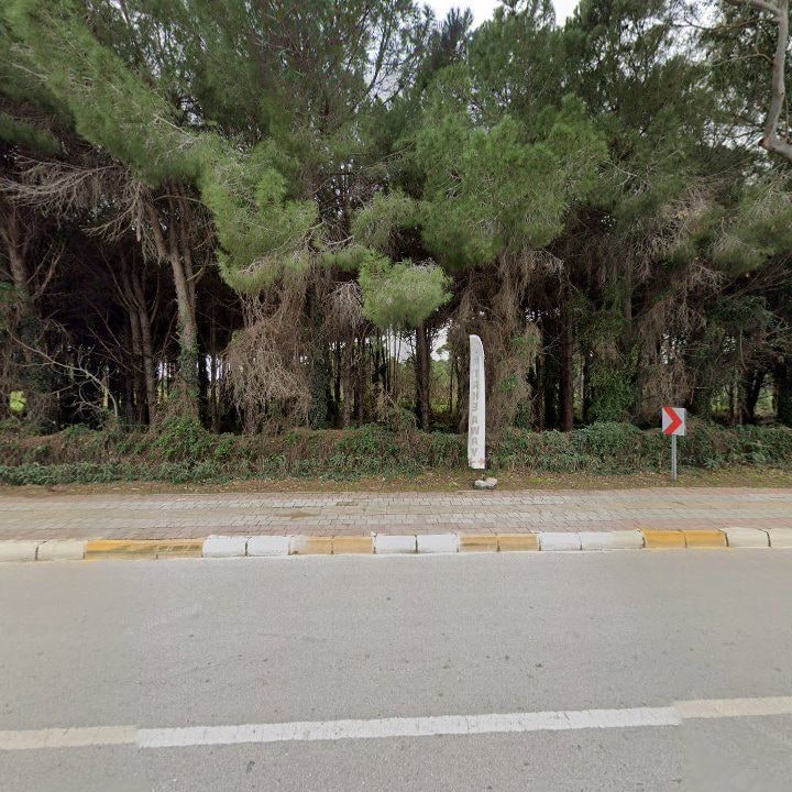 Fotoğraf 17