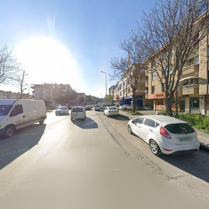 Fotoğraf 9