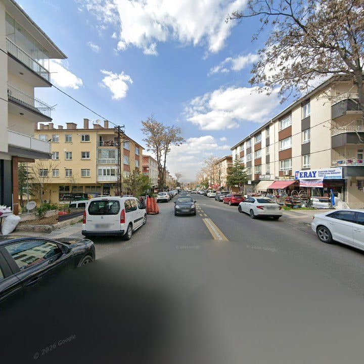 Fotoğraf 11