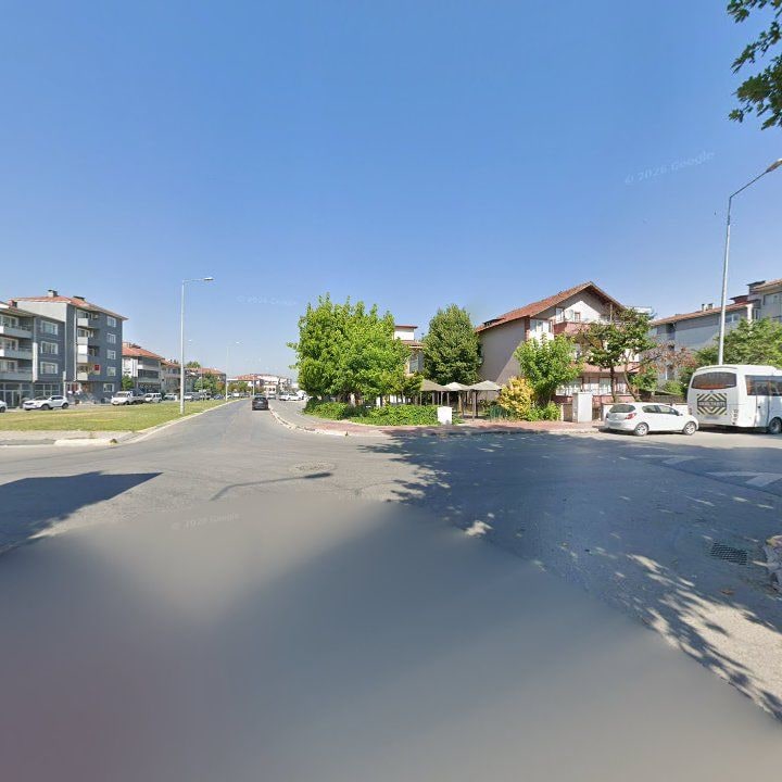 Fotoğraf 12
