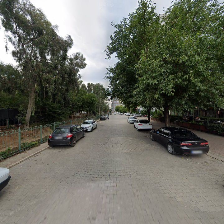 Fotoğraf 12