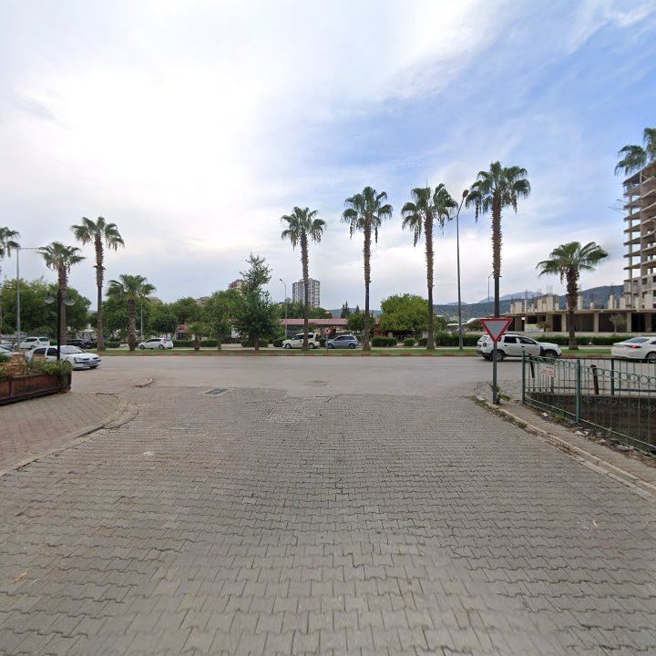 Fotoğraf 10