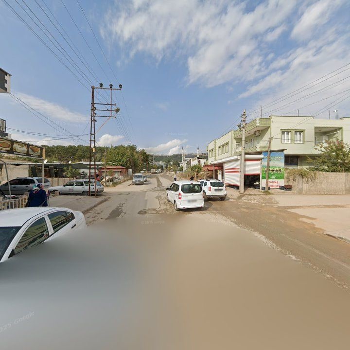Fotoğraf 5