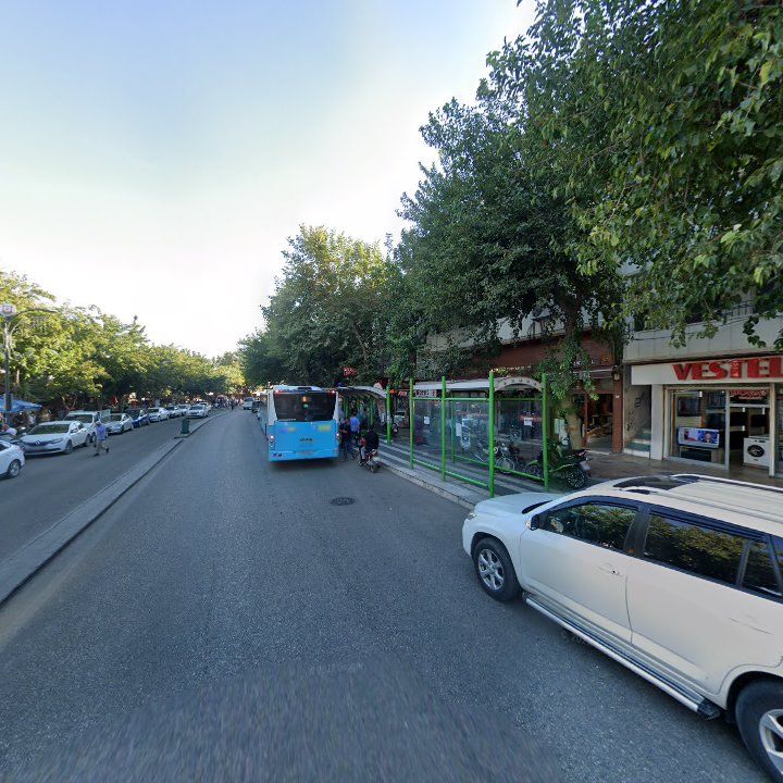 Fotoğraf 13