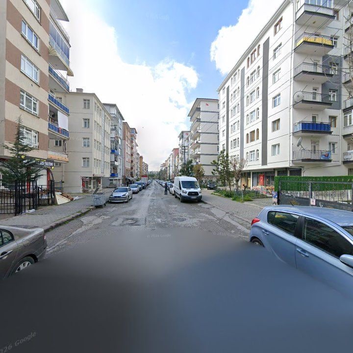 Fotoğraf 10