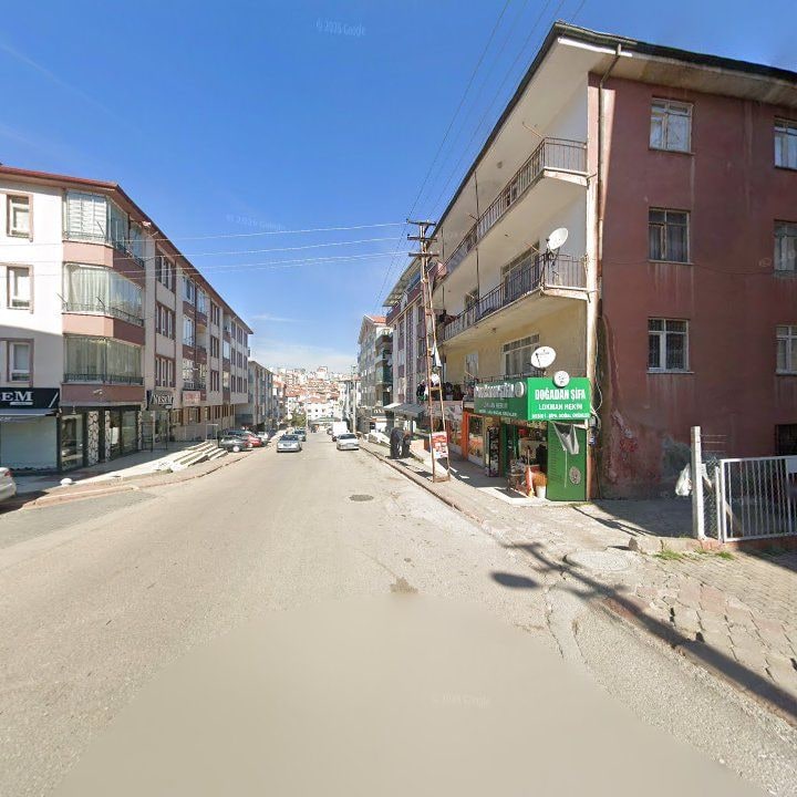 Fotoğraf 9