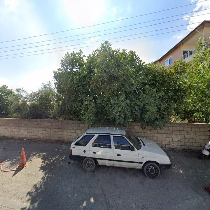 Fotoğraf 7