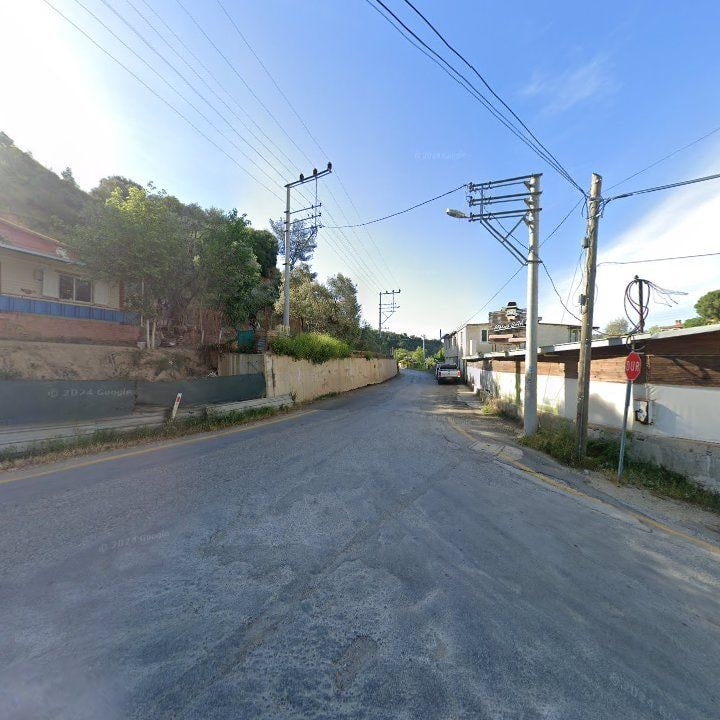 Fotoğraf 11