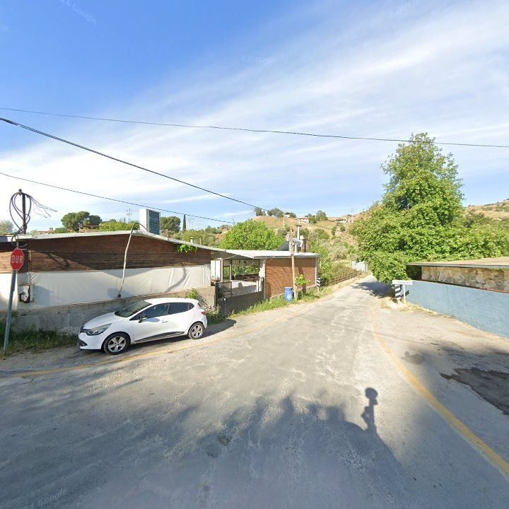 Fotoğraf 12