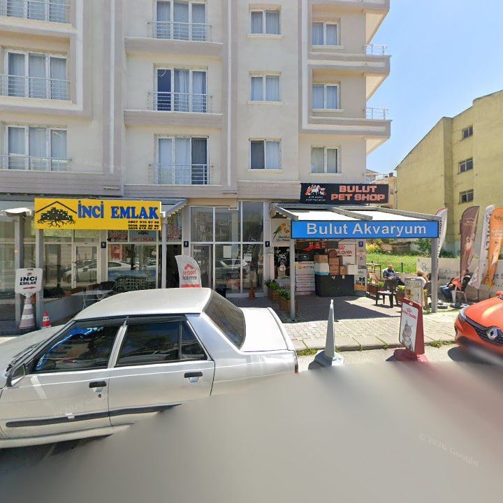 Efe Piknik