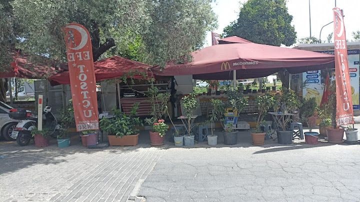 EFE tostcu