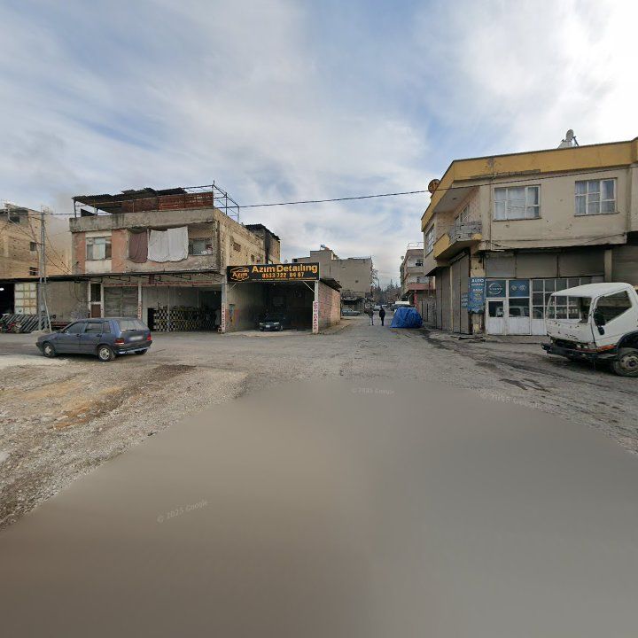 Fotoğraf 12