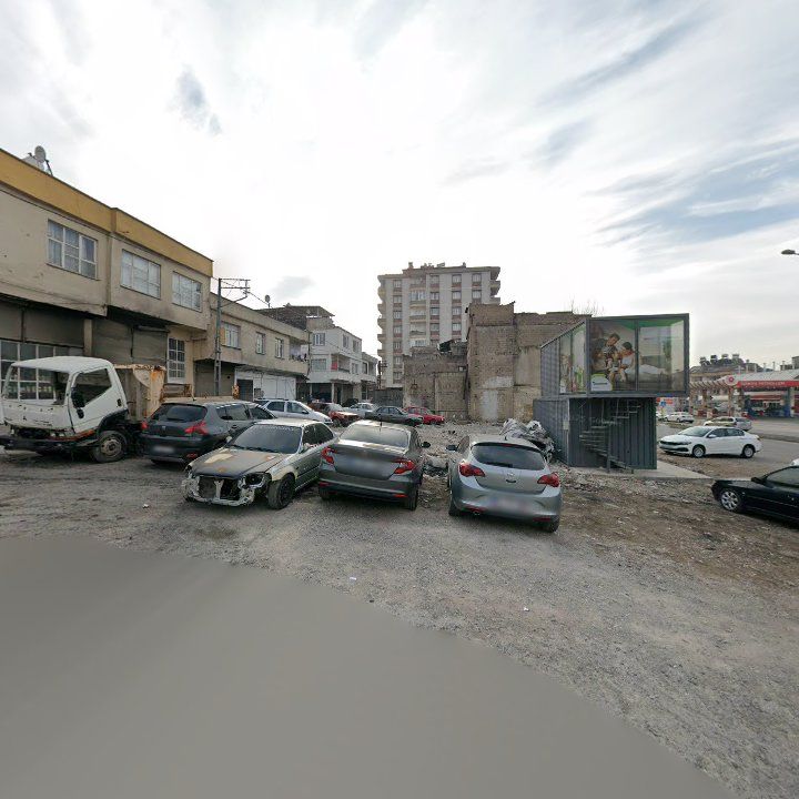 Fotoğraf 13