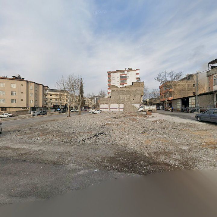 Fotoğraf 11
