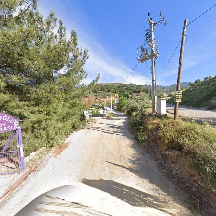 Fotoğraf 3