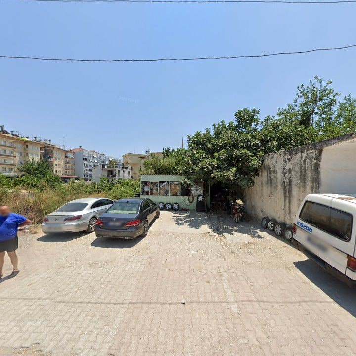 Fotoğraf 3