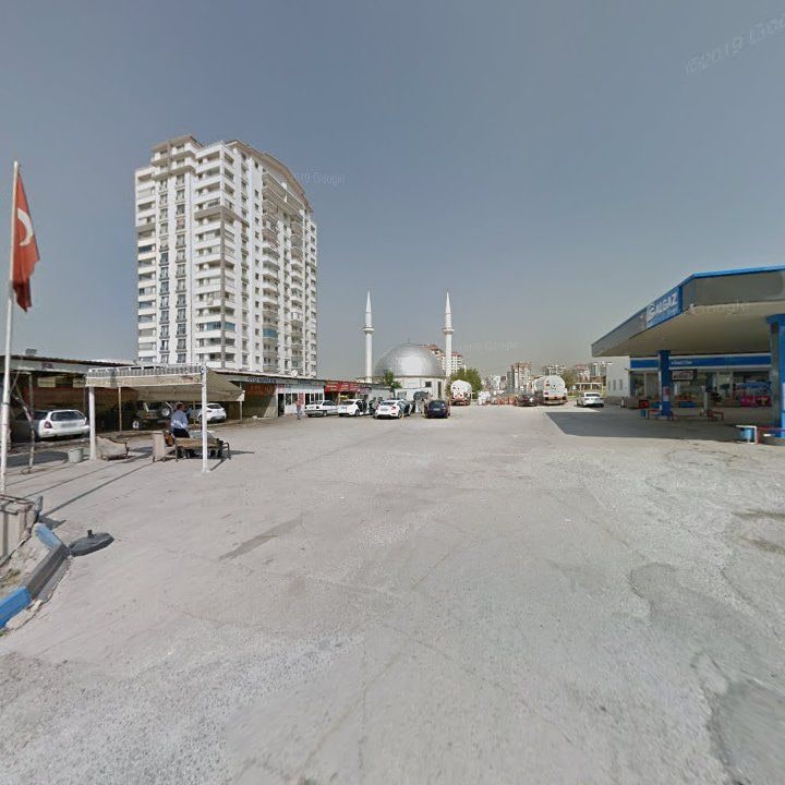 Fotoğraf 7