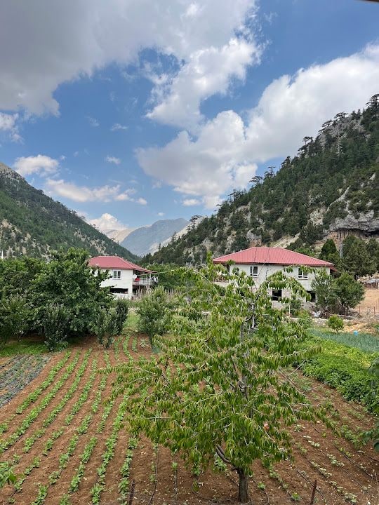 Efsane Bozkır Pide Etli Ekmek Salonu