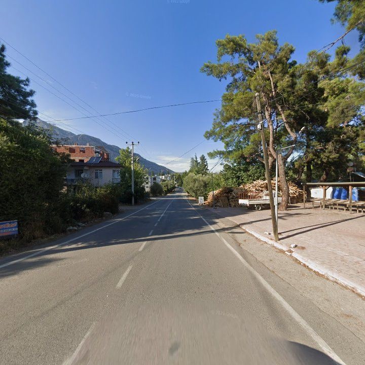 Fotoğraf 10