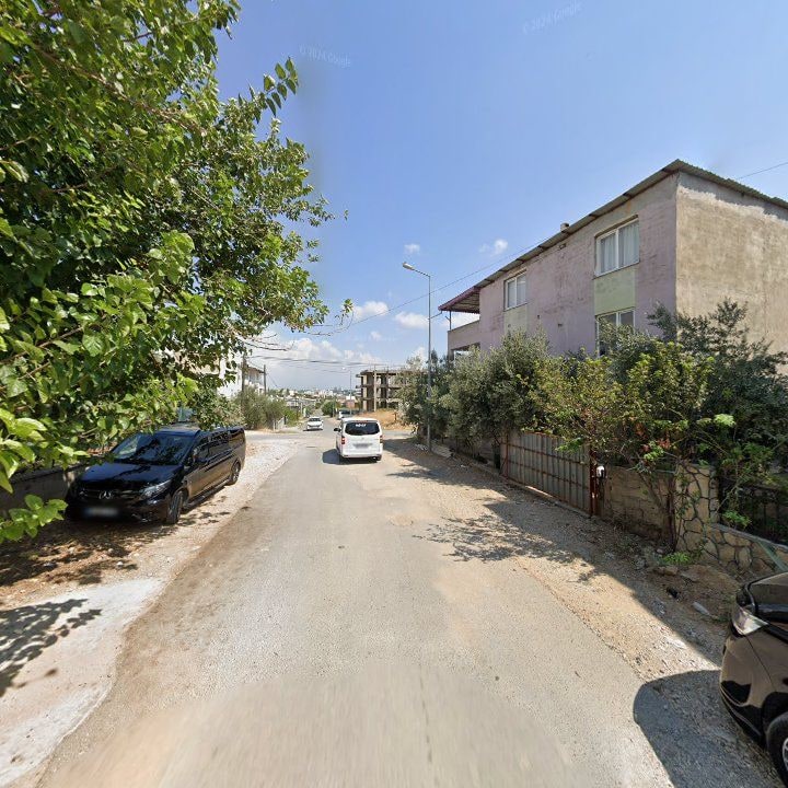 Fotoğraf 9