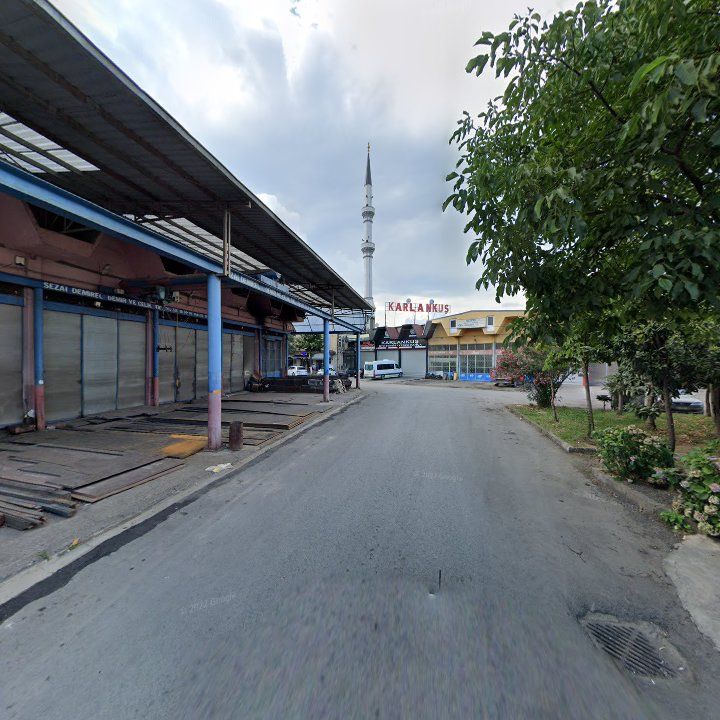 Fotoğraf 5