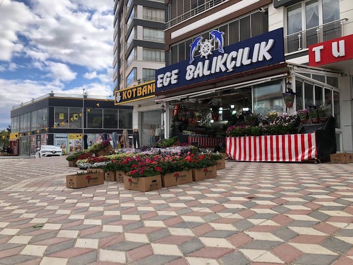 Ege Balıkçılık