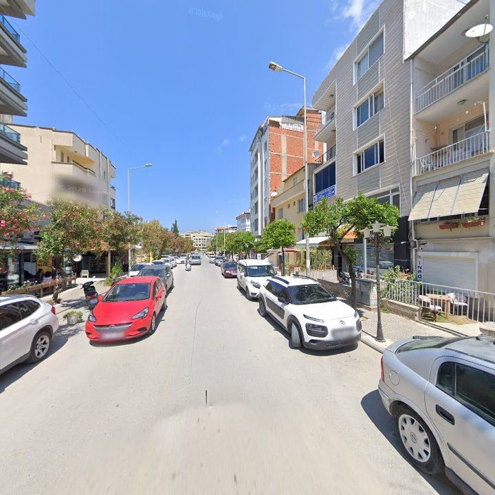 Fotoğraf 11