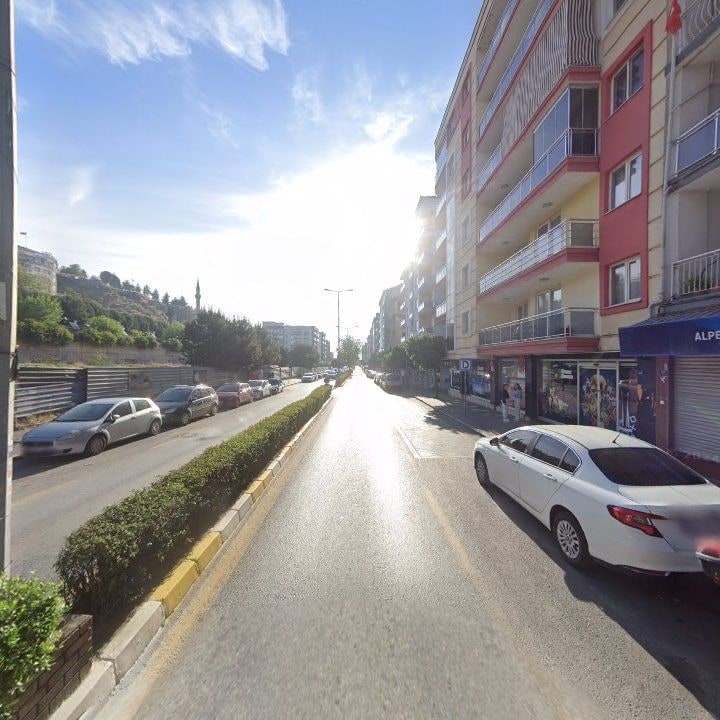 Fotoğraf 10