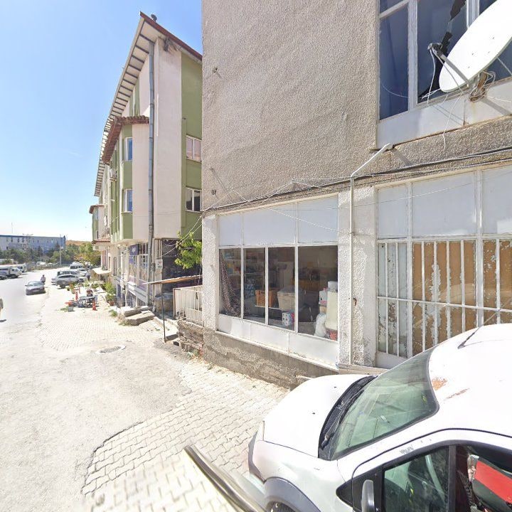 Fotoğraf 3
