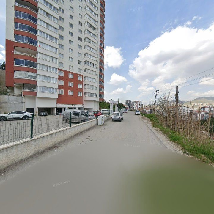 Fotoğraf 10