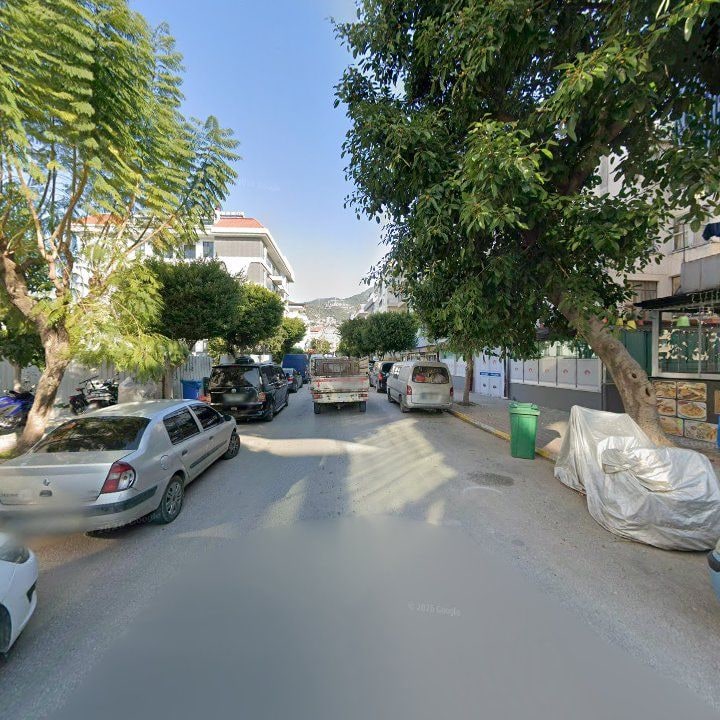 Fotoğraf 11