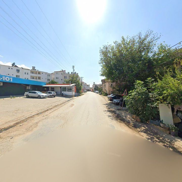 Fotoğraf 5
