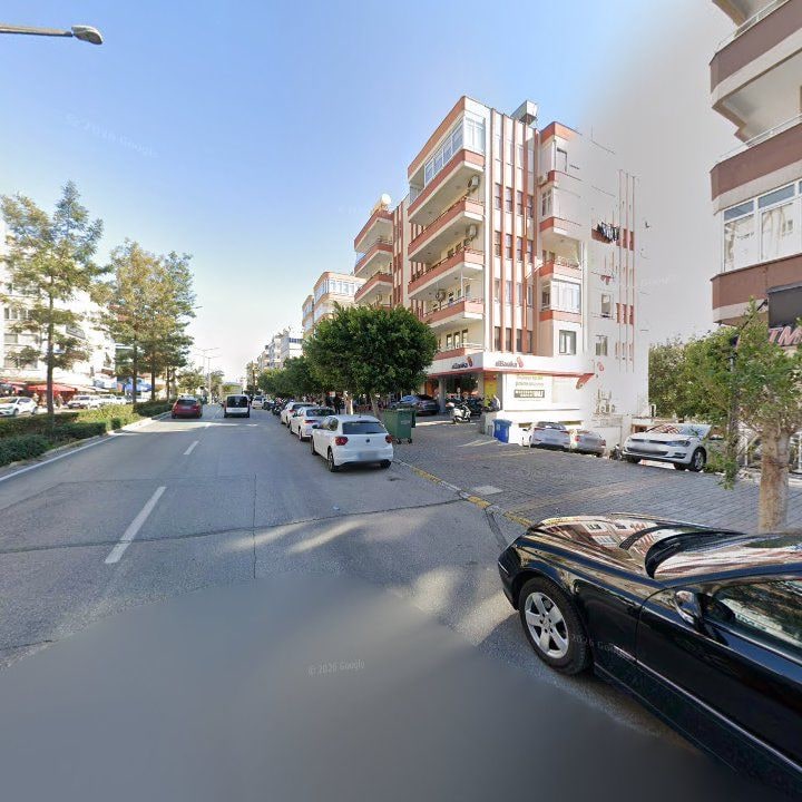 Fotoğraf 12