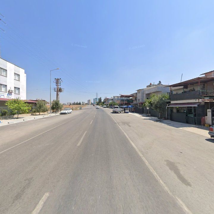 Fotoğraf 4