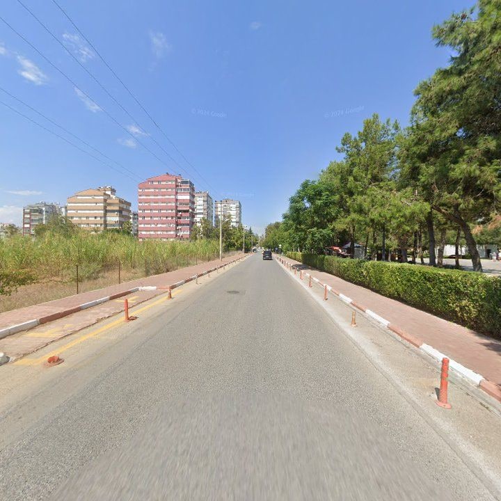 Fotoğraf 14