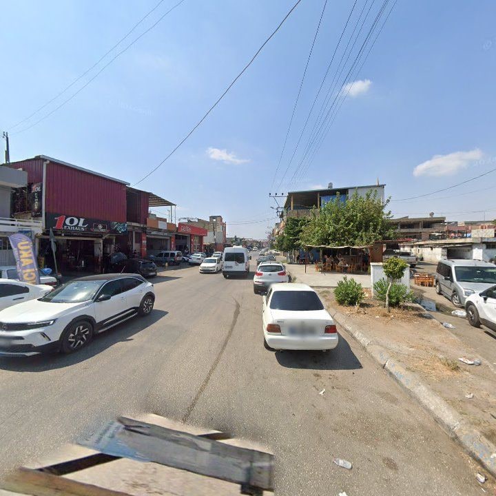 Fotoğraf 4