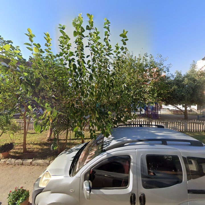 Fotoğraf 7