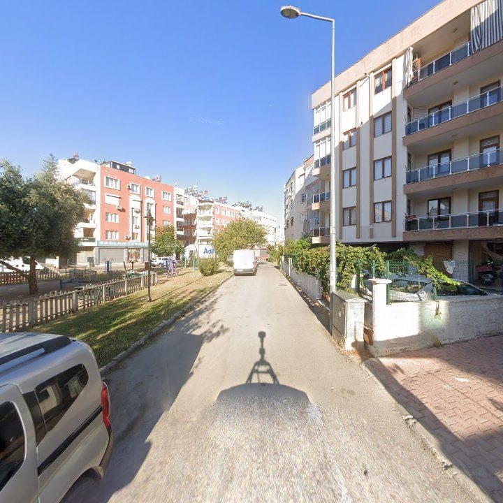 Fotoğraf 8