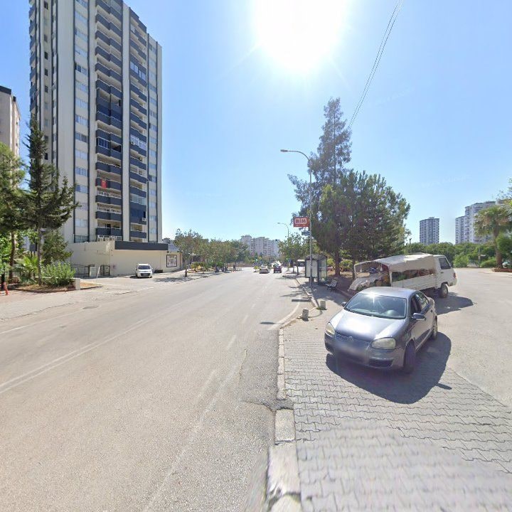 Fotoğraf 7