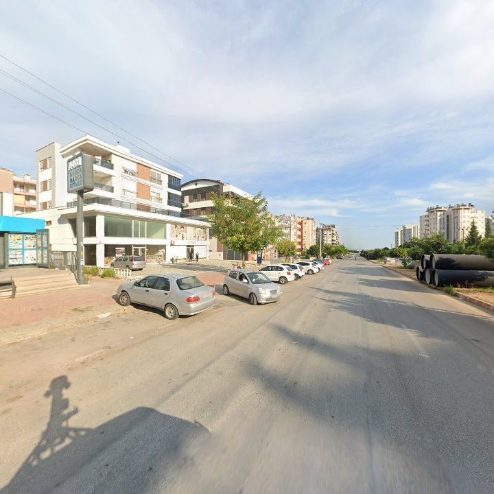 Fotoğraf 10