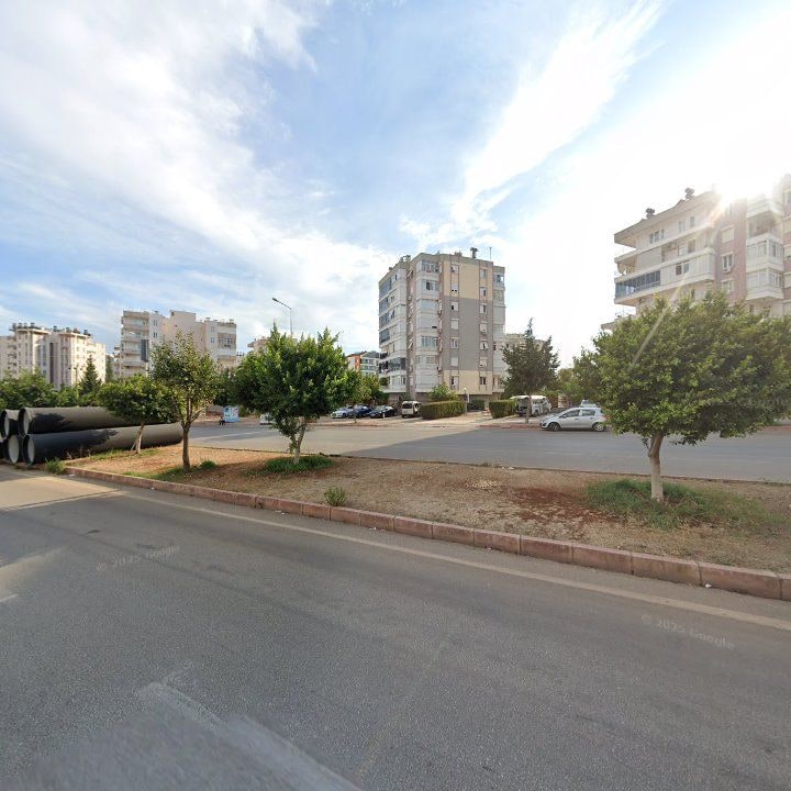 Fotoğraf 11
