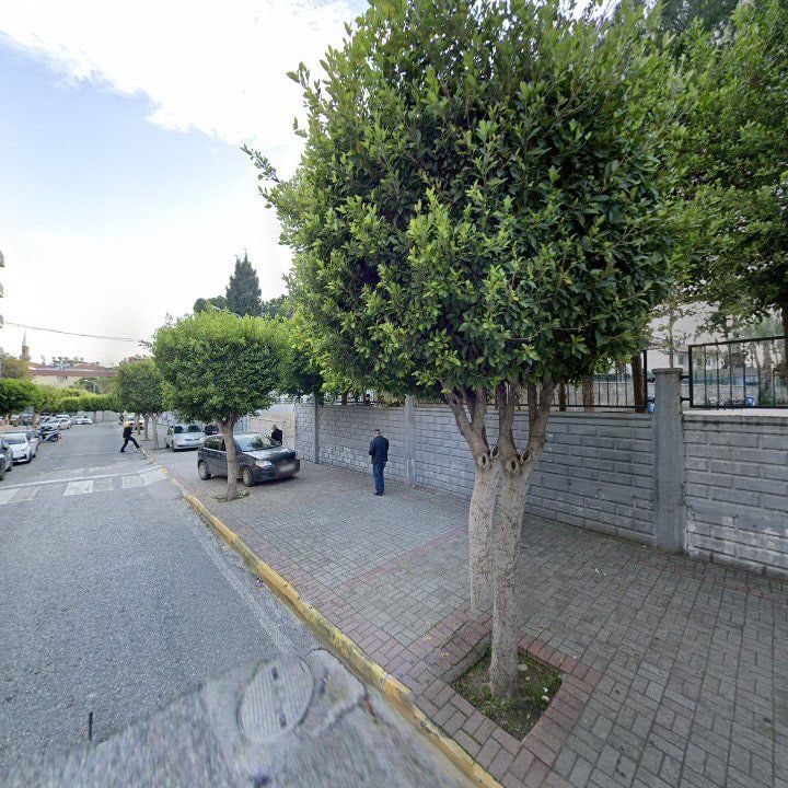 Fotoğraf 8